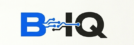 cropped biq logo.png